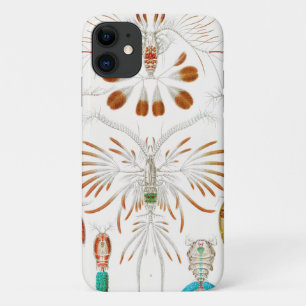 Funda Para iPhone 11 Crustáceos de la vida marina, Copepoda por Ernst H