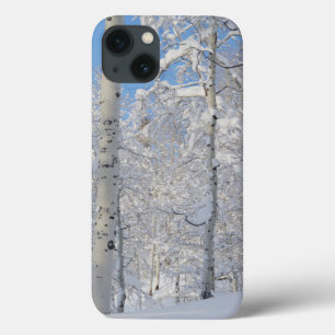 Funda Para iPhone 13 Cubierta de nieve, cresta de desolación-trampa