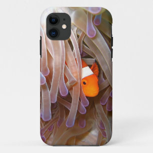 title_seo2 Cubierta del iPhone 5 de los pescados del payaso