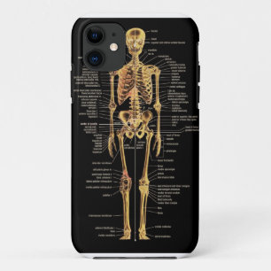 Funda Para iPhone 11 Cubierta esquelética del teléfono