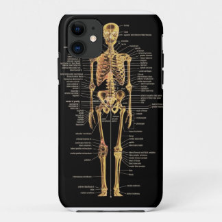 Funda Para iPhone 11 Cubierta esquelética del teléfono