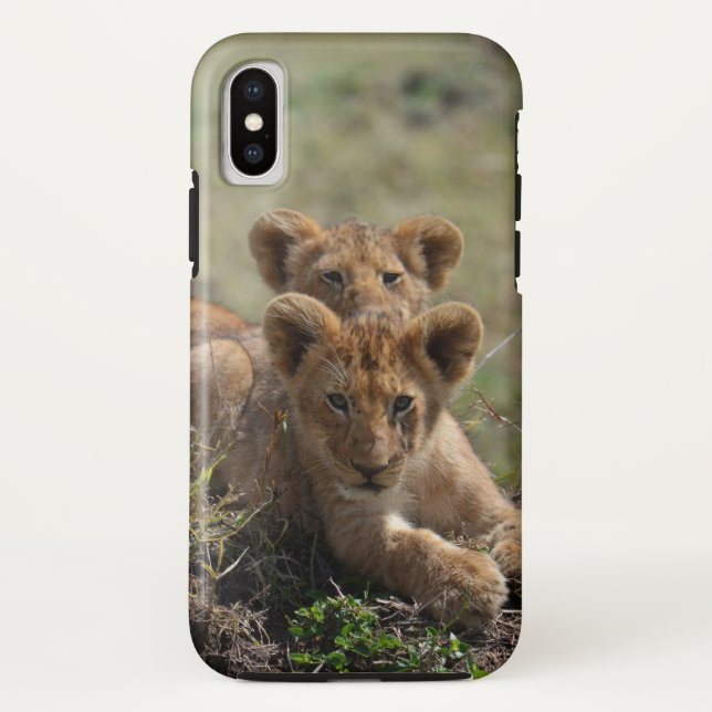 Funda De Case-Mate Para iPhone Cubos salvajes de leones africanos (Reverso)