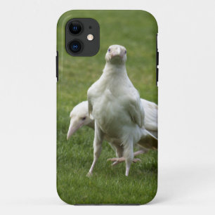 Funda Para iPhone 11 Cuervo de ave silvestre raro cuervo blanco