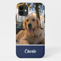 Cuidado Golden Retriever