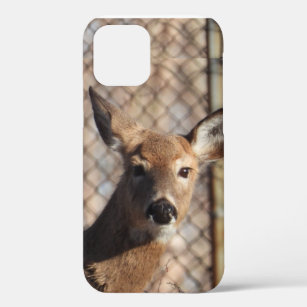 Funda Para iPhone 12 Curioso ciervo en los bosques