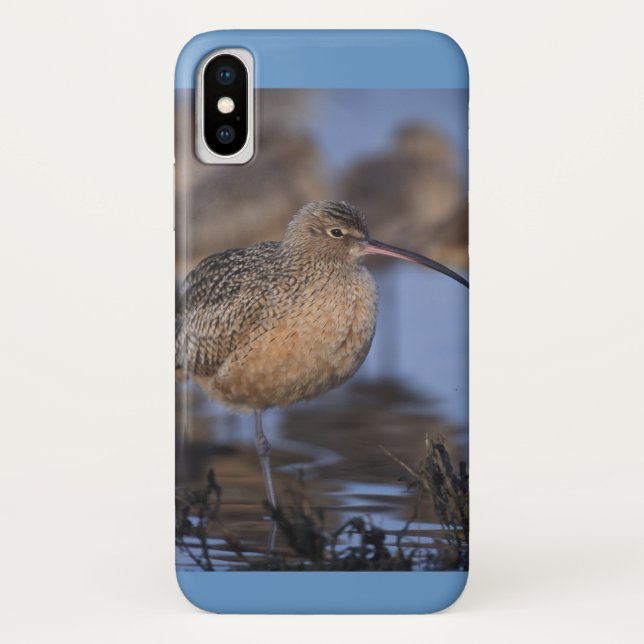 Funda De Case-Mate Para iPhone Curlo facturado largo (Reverso)