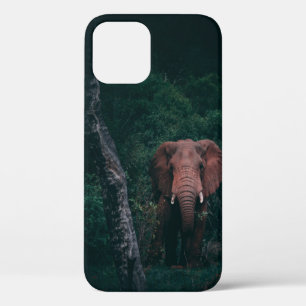 FUNDA PARA iPhone 12 CUTE ELEPHANT
