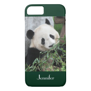 title_seo2 Cute Giant Panda Green Trim Oscuro, Nombre Persona
