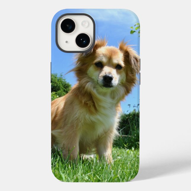 Funda De Case-Mate Para iPhone Cute Puppy in Garden Photo (Reverso )