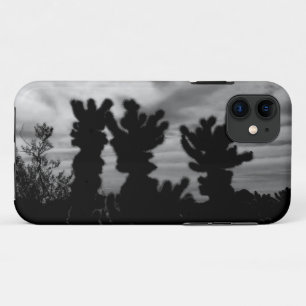 title_seo2 CUTE Teddy Bear Cholla Cactus