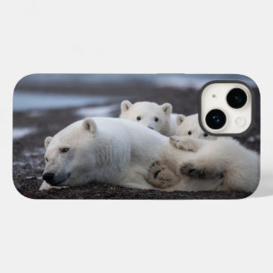 Funda Para iPhone 14 De Case-Mate Cutest Baby Animals   Polar Bear Family Alaska