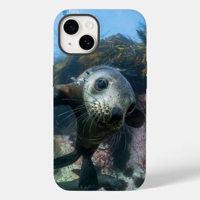 Funda De Case-Mate Para iPhone Cutest Baby Animals | Underwater Cape Fur Seal (Reverso )