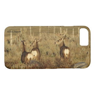 title_seo2 D30 Mule Deer Bucks