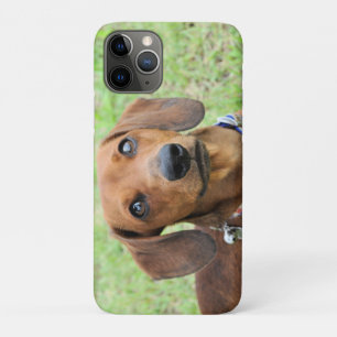 Funda Para iPhone 11 Pro Dachshund