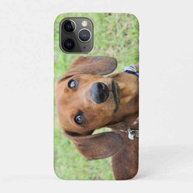 Funda De Case-Mate Para iPhone Dachshund (Reverso)