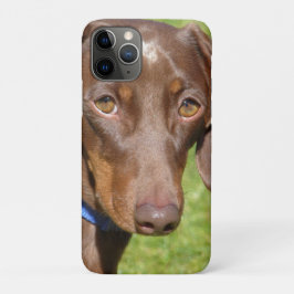 Funda Para iPhone 11 Pro Dachshund