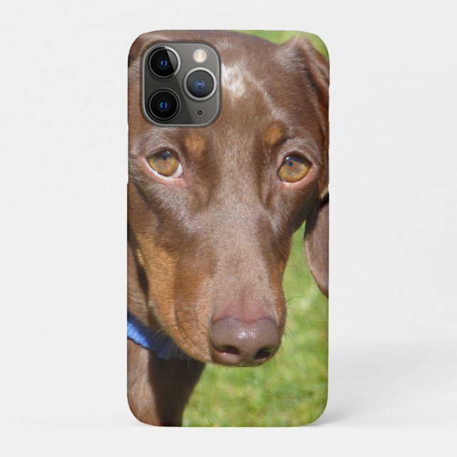 Funda De Case-Mate Para iPhone Dachshund (Reverso)