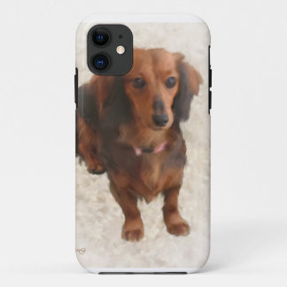 TITLE_SEO2 DACHSHUND DULCE
