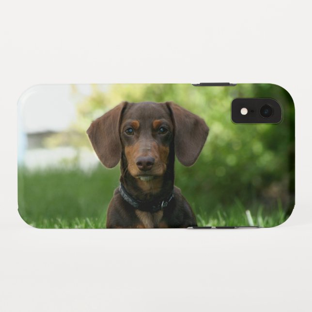 Funda De Case-Mate Para iPhone Dachshund Puppy (Reverso (horizontal))