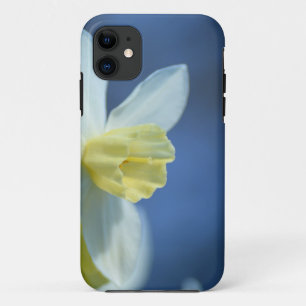 Funda Para iPhone 11 Daffodil en primavera