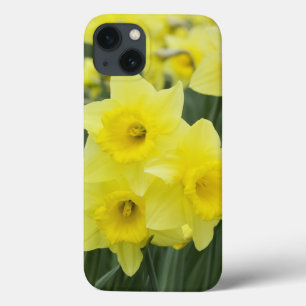title_seo2 Daffodils RF)