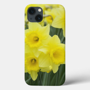title_seo2 Daffodils RF)