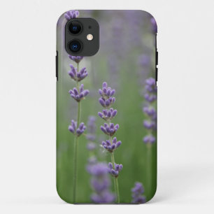 11 Dainty Lavender Apenas hay Funda para iPhone 5