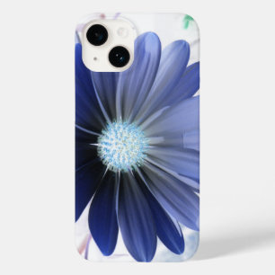 title_seo2 Daisy africano con un azul brillante