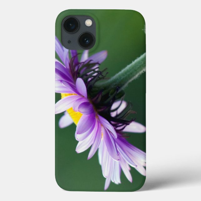 Funda De Case-Mate Para iPhone Daisy alpino (Reverso)
