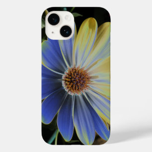 title_seo2 Daisy Lapis africano y oro