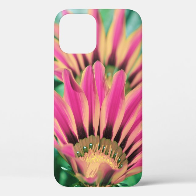 Funda De Case-Mate Para iPhone Daisy rosa caliente (Reverso )
