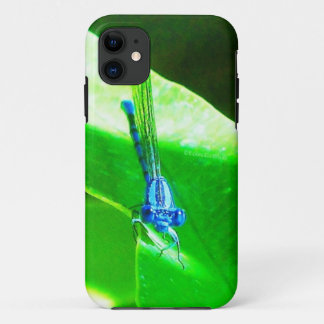 Funda Para iPhone 11 Damselfly