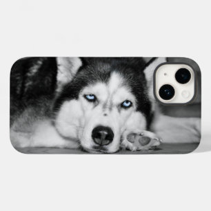 title_seo2 Déjame Dormir Por Favor