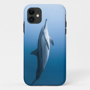 Funda Para iPhone 11 Delfín marino