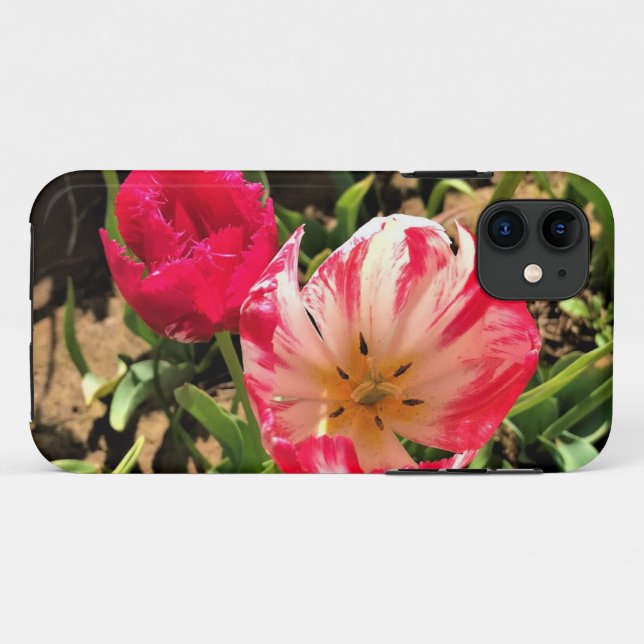 Funda De Case-Mate Para iPhone Dentro de un tulipán rosa y blanco (Reverso (horizontal))