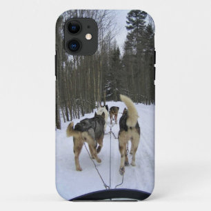 Funda Para iPhone 11 Derrame de perro en Quebec, Canadá