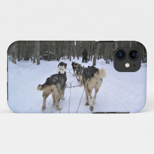 Funda Para iPhone 11 Derrame de perro en Quebec, Canadá