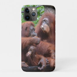 Funda Para iPhone 11 Pro Desayuno con el Zoológico de Orangutans Singapur
