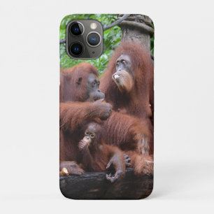 Funda Para iPhone 11 Pro Desayuno con el Zoológico de Orangutans Singapur