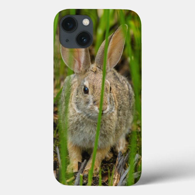 Funda De Case-Mate Para iPhone Desert Cottontail Rabbit (Reverso)