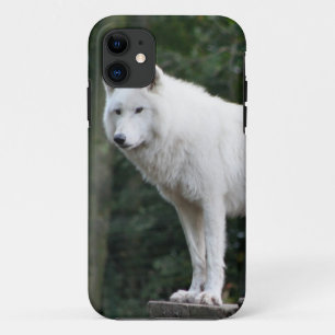 Funda Para iPhone 11 Destino animal del amor de la paz de la naturaleza