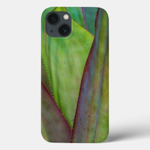 Funda Para iPhone 13 Detalle de la planta de agave