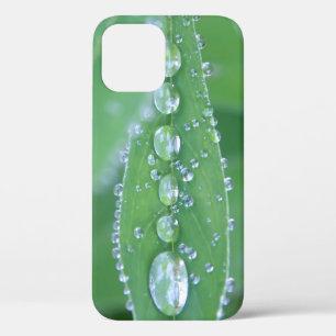 Funda Para iPhone 12 Dewdrop