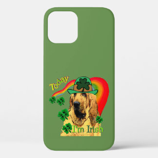 Funda Para iPhone 12 Día de Santa Patrona