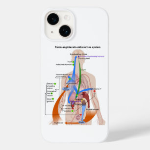 Funda Para iPhone 14 De Case-Mate Diagrama del cuerpo humano del sistema renina-angi