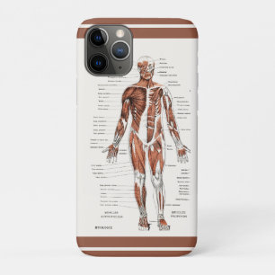 Funda Para iPhone 11 Pro Diagrama del sistema circulatorio muscular vintage