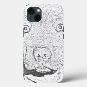 Funda Para iPhone 13 Dibujo de lápiz de agujeros de Staffordshire, Fund