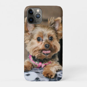 Funda Para iPhone 11 Pro Díntimo dinamo