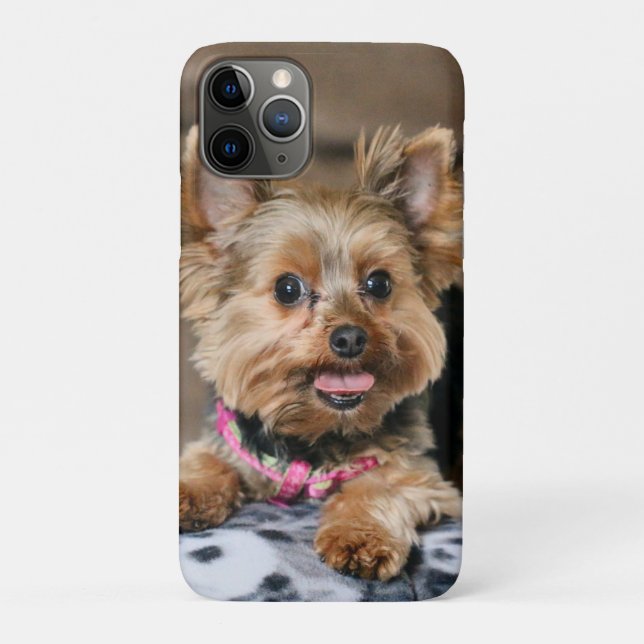 Funda De Case-Mate Para iPhone Díntimo dinamo (Reverso)