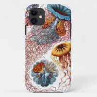 Discomedusus por Ernst Haeckel